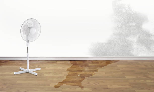 Best Flood restoration services  in Aurora, CO