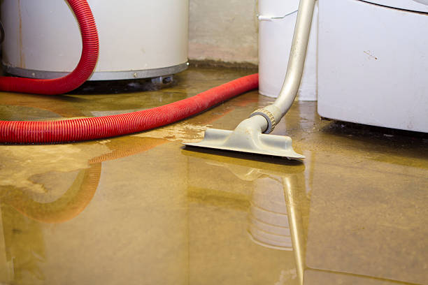 Best Water damage cleanup near me  in Aurora, CO