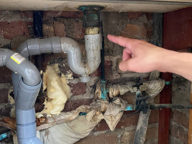 Best Local water damage restoration  in Aurora, CO