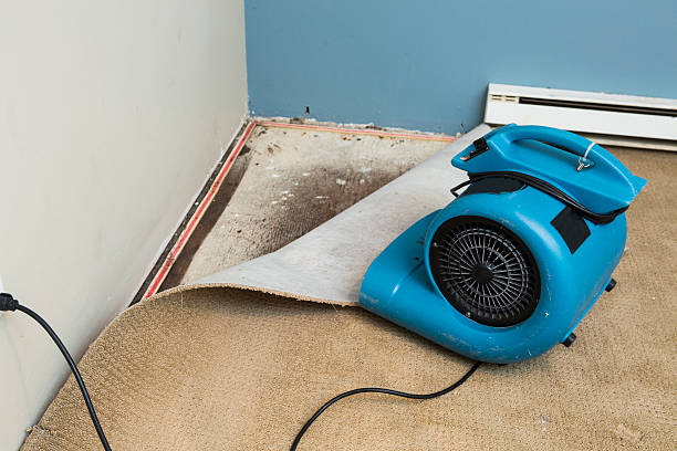Best Water damage repair service  in Aurora, CO